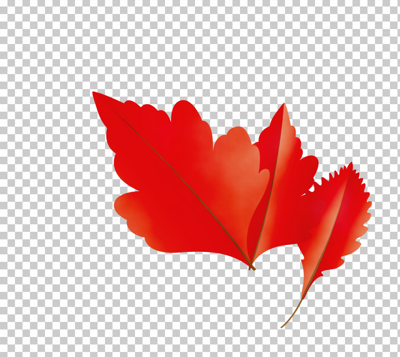 Maple Leaf PNG, Clipart, Autumn Leaf, Career Portfolio, Cartoon Leaf, Fall Leaf, Leaf Free PNG Download