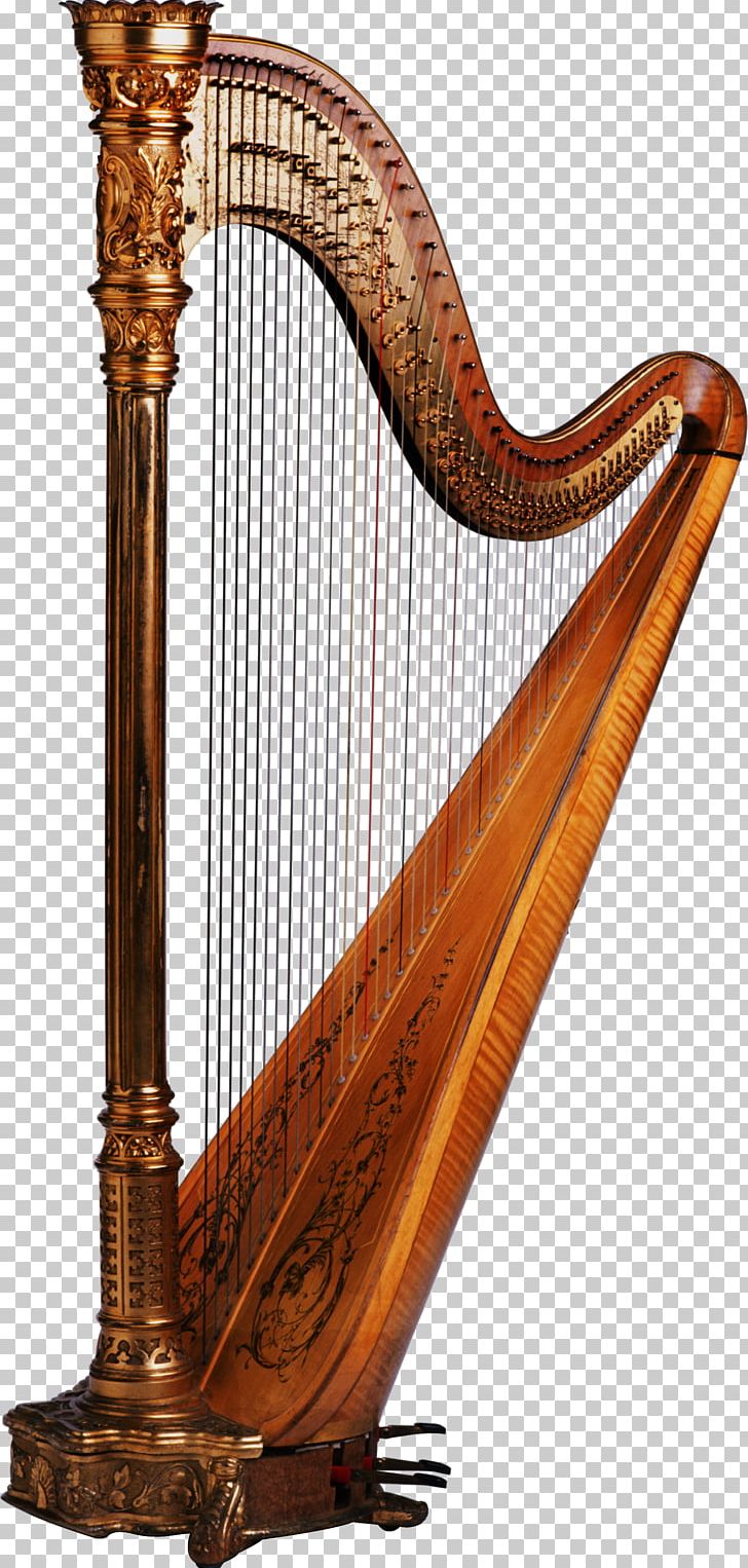 Harp Musical Instruments Maraca Cuatro String Instruments PNG, Clipart, Arpa Llanera, Cello, Clarsach, Cuatro, Double Bass Free PNG Download