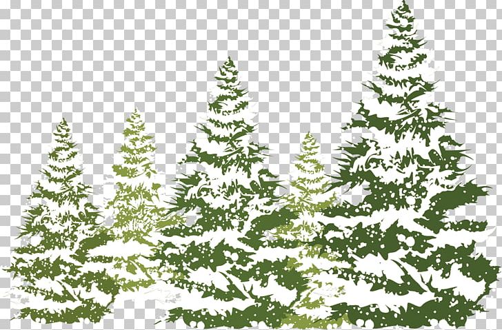 Snow PNG, Clipart, Branch, Christmas, Christmas, Christmas Decoration ...