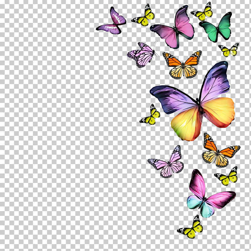 Cynthia (subgenus) Butterfly Moths And Butterflies Insect Pollinator PNG, Clipart, Brushfooted Butterfly, Butterfly, Cynthia Subgenus, Insect, Moths And Butterflies Free PNG Download