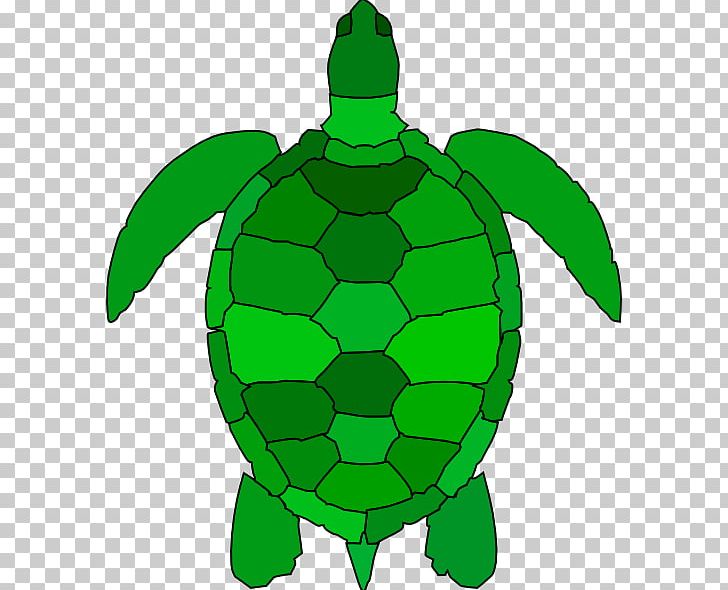Green Sea Turtle Reptile PNG, Clipart, Cuteness, Fictional Character, Free Content, Green, Green Sea Turtle Free PNG Download