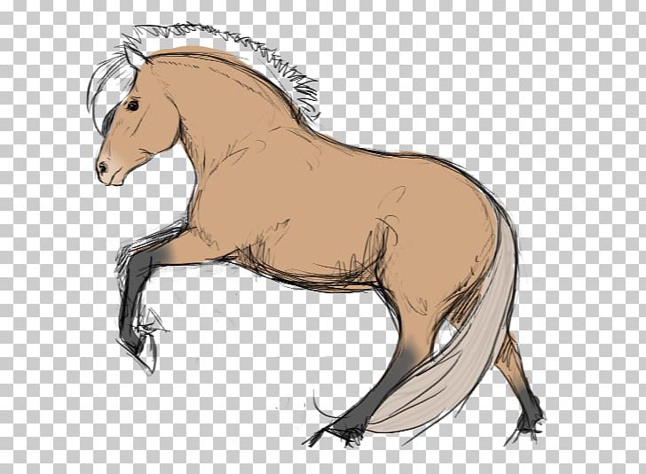 Mane Foal Mustang Stallion Colt PNG, Clipart, Animal Figure, Bridle, Character, Colt, Fiction Free PNG Download