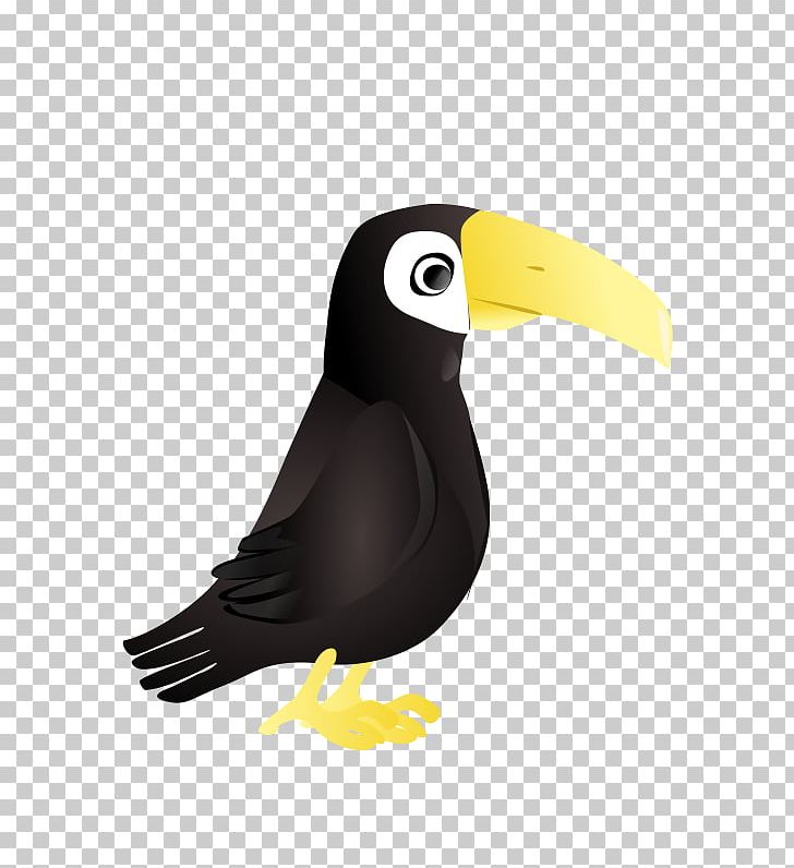 Parrot Toucan PNG, Clipart, Animals, Beak, Bird, Emerald Toucanet, Line Art Free PNG Download