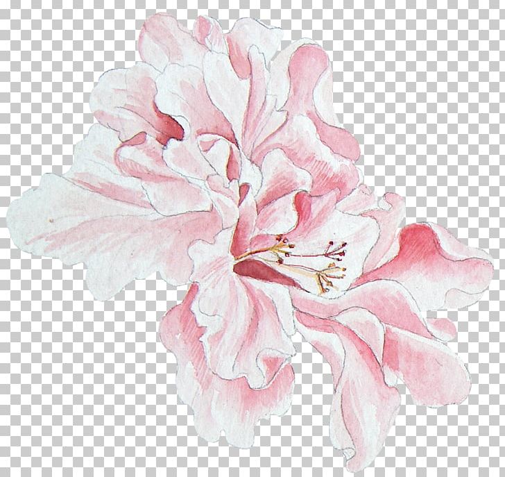 Peony Floral Design Watercolor Painting PNG, Clipart, Cartoon, Cluster, Floral, Flower, Flower Arranging Free PNG Download