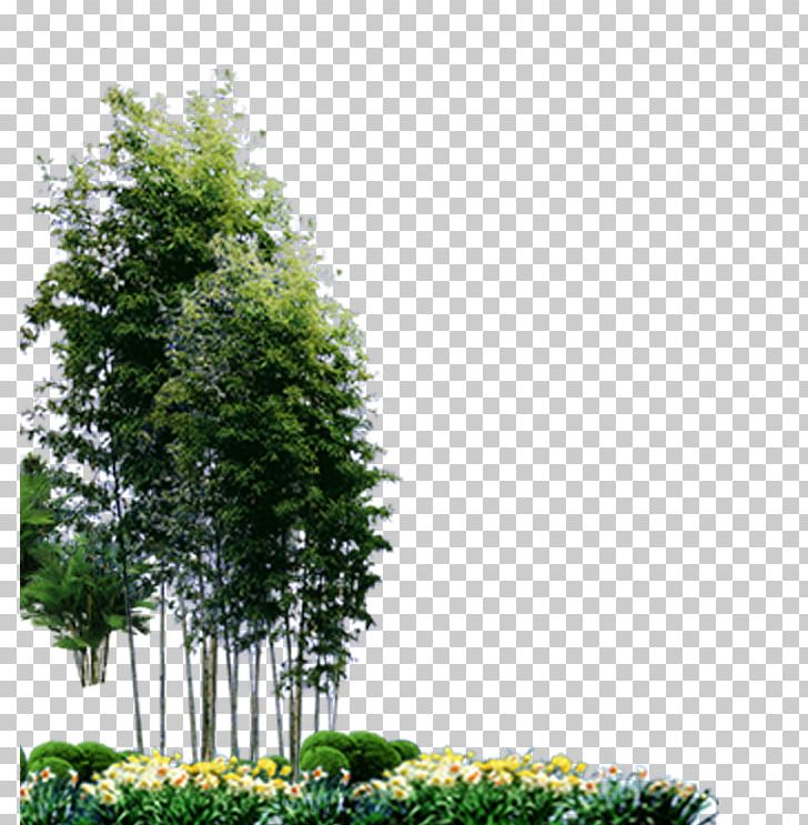 Bamboo Landscape Plant PNG, Clipart, Background, Bamboo Border, Bamboo Frame, Bamboo House, Bamboo Leaf Free PNG Download