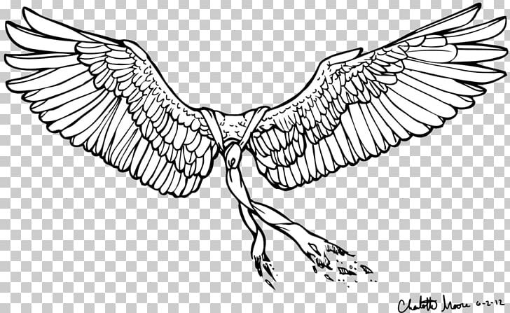 Castiel Drawing Line Art PNG, Clipart, Angel, Art, Artwork, Beak, Bird Free PNG Download