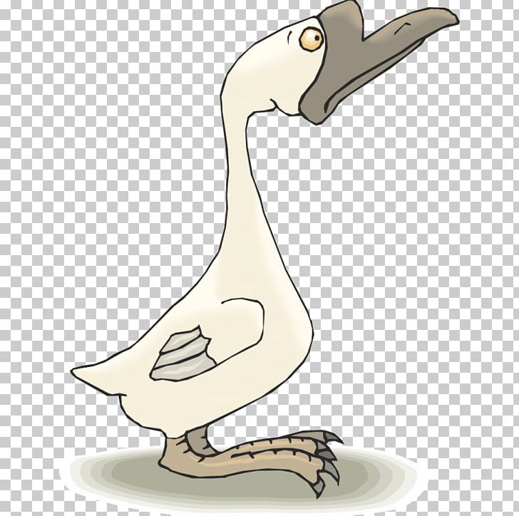 Goose Cygnini Duck PNG, Clipart, Animals, Beak, Bird, Canada Goose, Cygnini Free PNG Download