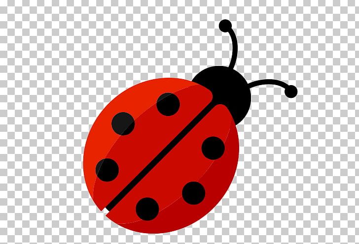 Ladybird Beetle Drawing PNG, Clipart, Beetle, Download, Drawing, Email, Insect Free PNG Download