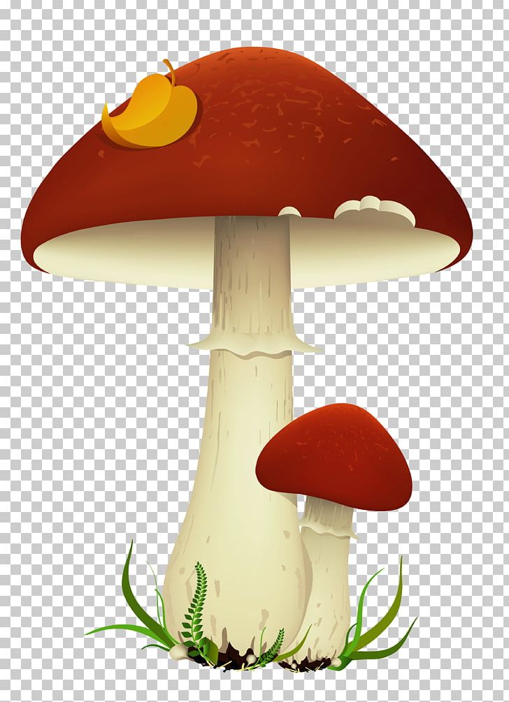 Mushroom PNG, Clipart, Autumn, Clip Art, Clipart, Common Mushroom, Encapsulated Postscript Free PNG Download