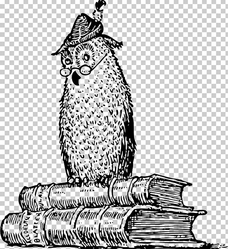 Owl Bird Drawing Professor Knatschke: Selected Works Of The Great German Scholar And Of His Daughter Elsa PNG, Clipart, Animals, Art, Artwork, Beak, Bird Free PNG Download