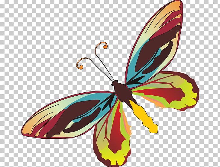 Monarch Butterfly Moth PNG, Clipart,  Free PNG Download