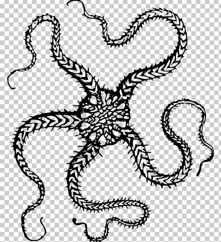 T-shirt Hoodie Starfish PNG, Clipart, Art, Artwork, Black And White, Brittle Star, Cephalopod Free PNG Download