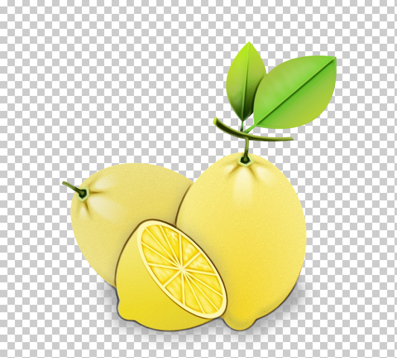 Lemon Citron Persian Lime Lime Sweet Lemon PNG, Clipart, Citric Acid, Citron, Citrus Fruit, Lemon, Lemonlime Drink Free PNG Download