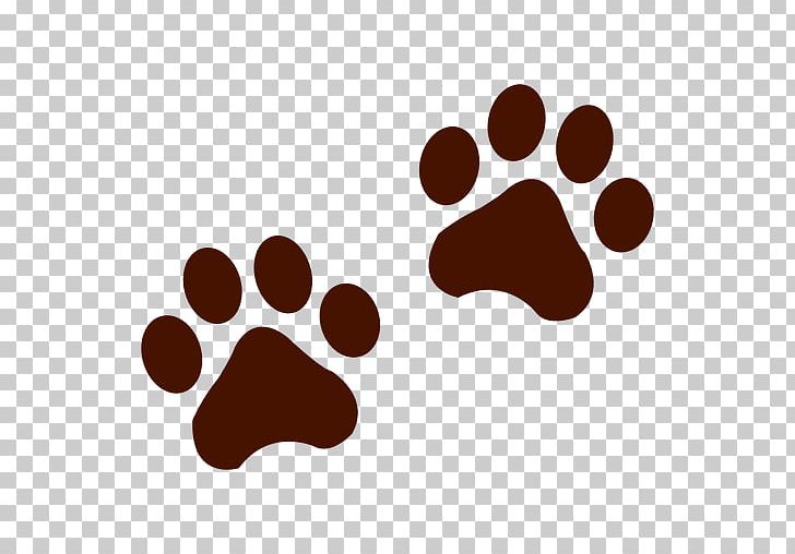 Bear Raccoon Tiger Animal Track PNG, Clipart, Animal, Animals, Animal Track, Bear, Clip Art Free PNG Download