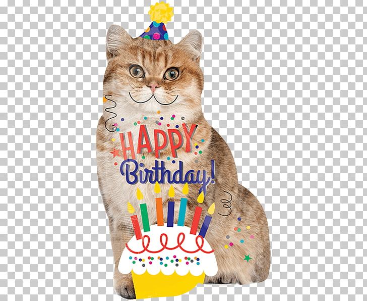 Birthday Cake Cat Kitten Balloon PNG, Clipart,  Free PNG Download