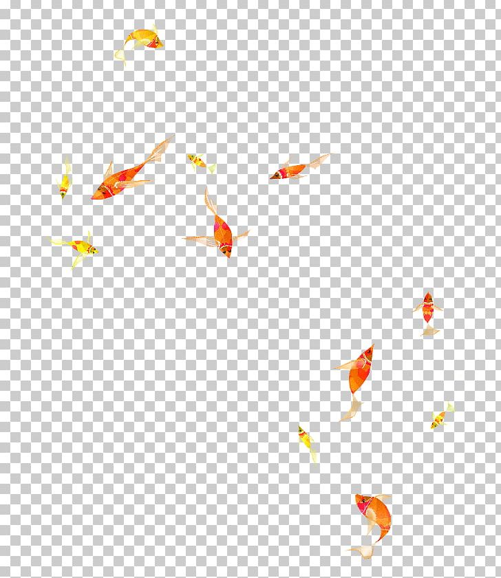 Goldfish Sea Sticker Ocean PNG, Clipart, Animal, Animals, Aquatic Animal, Beak, Bird Free PNG Download