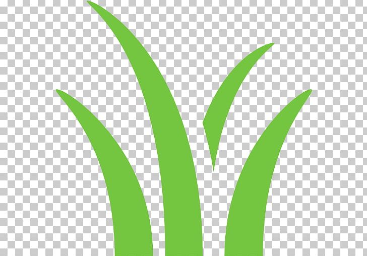 Leaf Grasses Logo Plant Stem PNG, Clipart, Family, Grass, Grasses, Grass Family, Green Free PNG Download