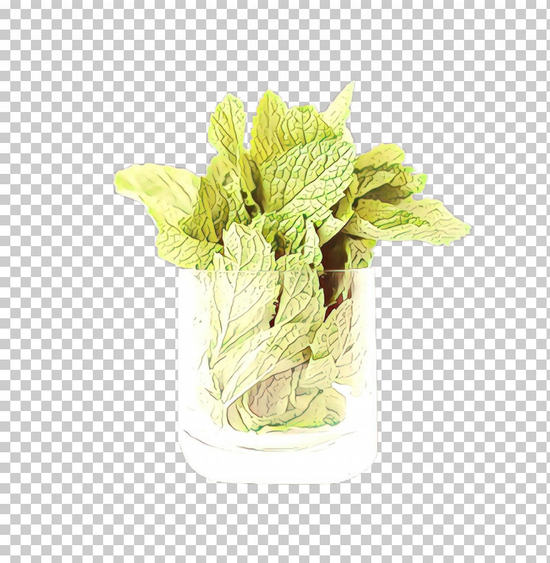Flower Plant Leaf Romaine Lettuce Leaf Vegetable PNG, Clipart, Flower, Leaf, Leaf Vegetable, Plant, Romaine Lettuce Free PNG Download