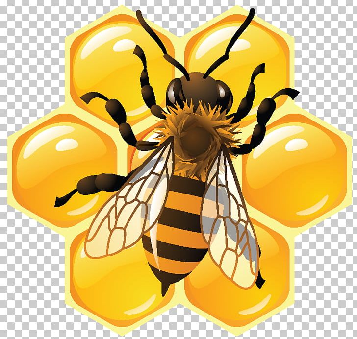 Honey Bee Honeycomb Beehive PNG, Clipart, Arthropod, Bee, Bees Honey, Bee Sting, Beeswax Free PNG Download