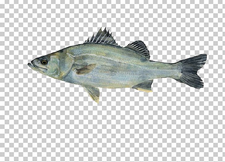 Japan Fish Painting Drawing Illustration PNG, Clipart, Animal, Animals, Aquarium Fish, Art, Artist Free PNG Download