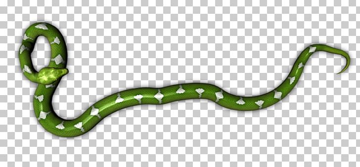 Reptile Snake Green Tree Python Animal Pythons PNG, Clipart, Animal, Animal Figure, Body Jewellery, Body Jewelry, Directory Free PNG Download