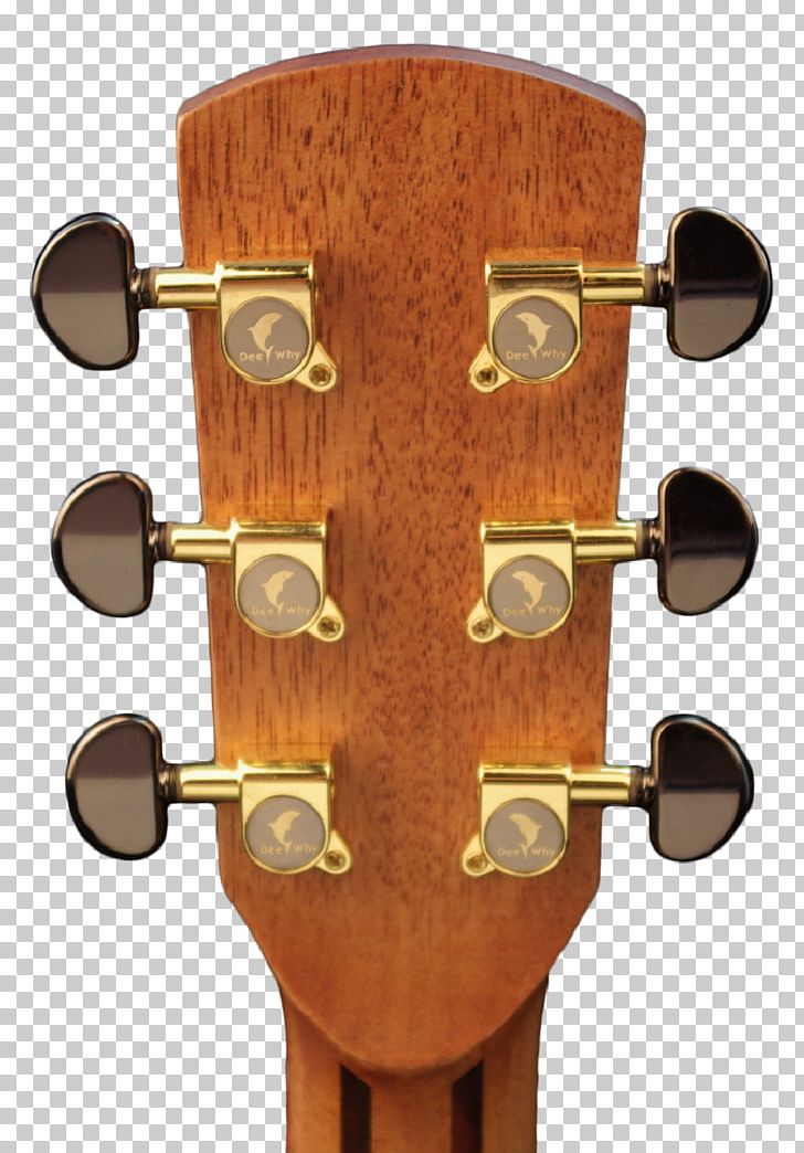 Acoustic Guitar Acoustic-electric Guitar Tiple Cutaway PNG, Clipart, Acoustic Electric Guitar, Acousticelectric Guitar, Acoustic Music, Bass Guitar, Budding Free PNG Download