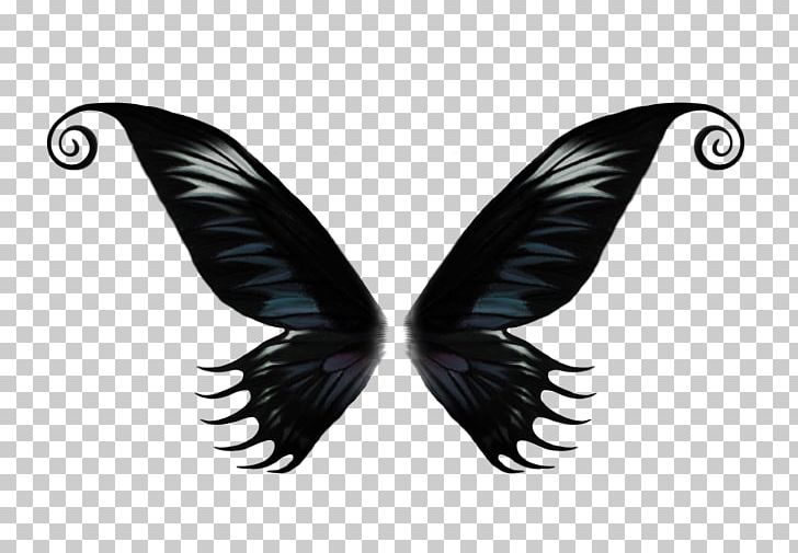 Butterfly Computer Software Encapsulated PostScript PNG, Clipart, Butterfly, Button, Computer Software, Coreldraw, Encapsulated Postscript Free PNG Download