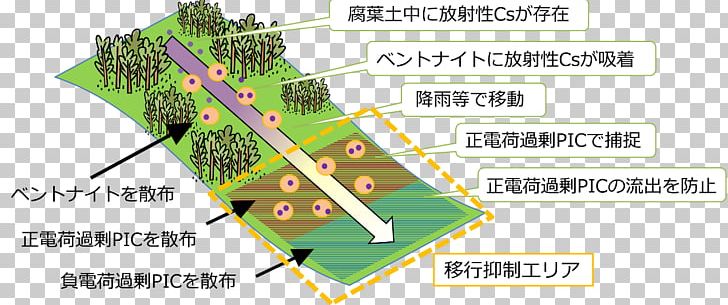 Fukushima Daiichi Nuclear Disaster Ecosystem Research Forestry PNG, Clipart, Angle, Area, Ecosystem, Forest, Forestry Free PNG Download