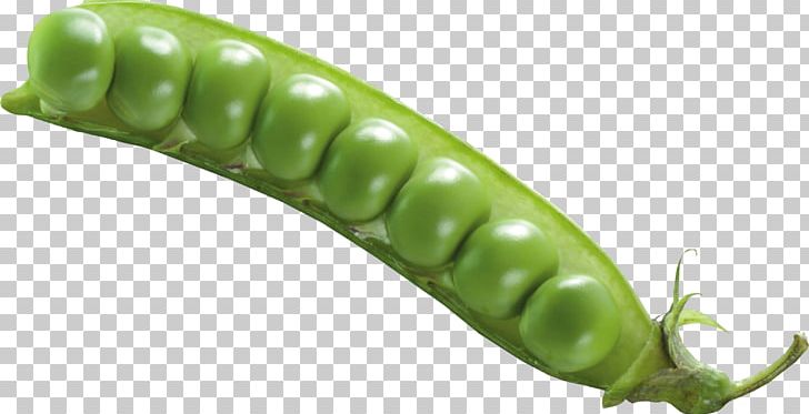 Pea PNG, Clipart, Pea Free PNG Download