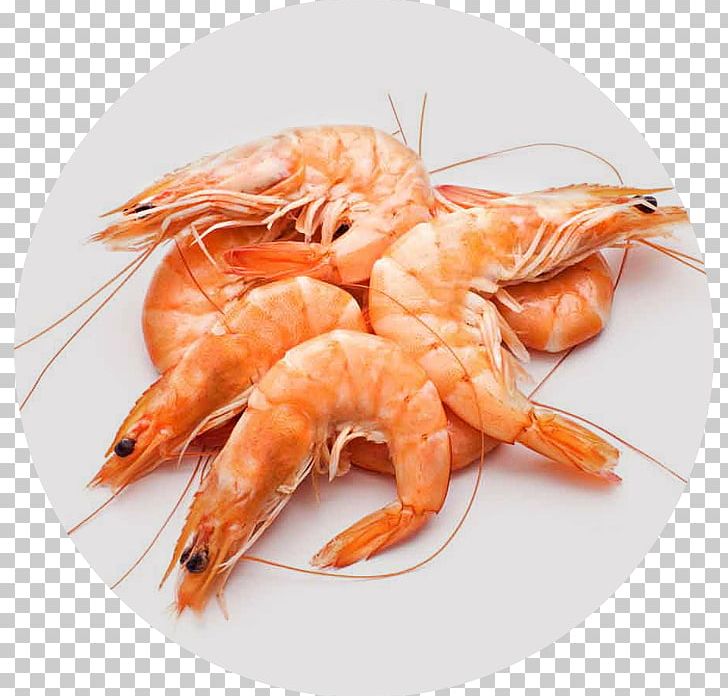 Shellfish Prawn Seafood PNG, Clipart, Animals, Animal Source Foods, Caridean Shrimp, Decapoda, Dendrobranchiata Free PNG Download