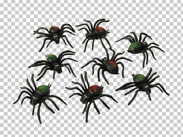 Spider Web Costume Party Halloween PNG, Clipart, Ants, Arachnid, Arthropod, Clothing Accessories, Costume Free PNG Download