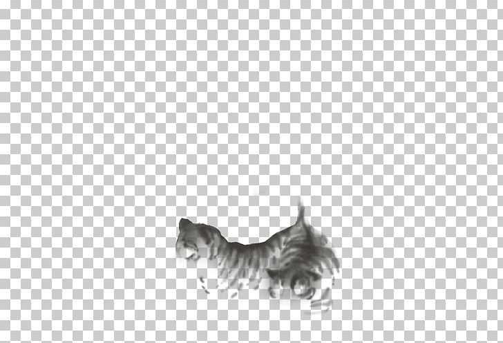 Whiskers Cat Dog Breed PNG, Clipart, Animals, Black, Black And White, Black M, Breed Free PNG Download