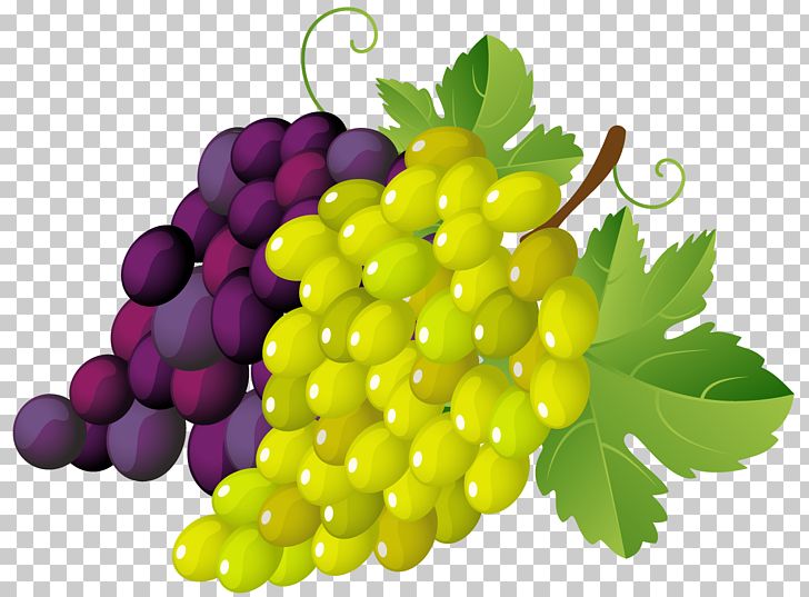 Grapevines Stock.xchng PNG, Clipart, Clip Art, Computer Icons, Drawing, Food, Fruit Free PNG Download