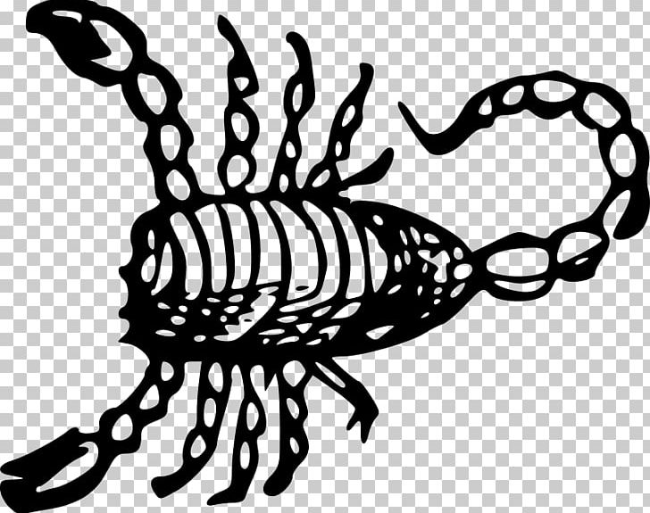 Scorpion Drawing PNG, Clipart, Artwork, Black, Black And White, Diagram, Drawing Free PNG Download