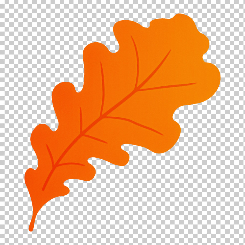 Maple Leaf PNG, Clipart, Black Maple, Leaf, Maple Leaf, Orange, Plane Free PNG Download