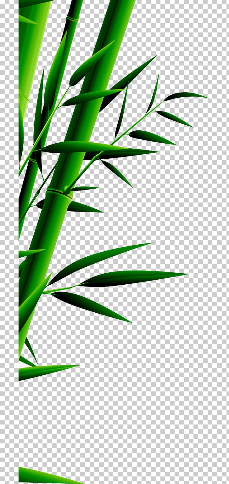 Bamboo Zongzi Green Leaf U7aefu5348 PNG, Clipart, Angle, Background Green, Bamboe, Bamboo, Bamboo Leaves Free PNG Download