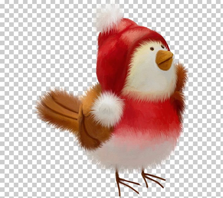 Bird Christmas PNG, Clipart, Animals, Beak, Bird, Christmas, Christmas Ornament Free PNG Download
