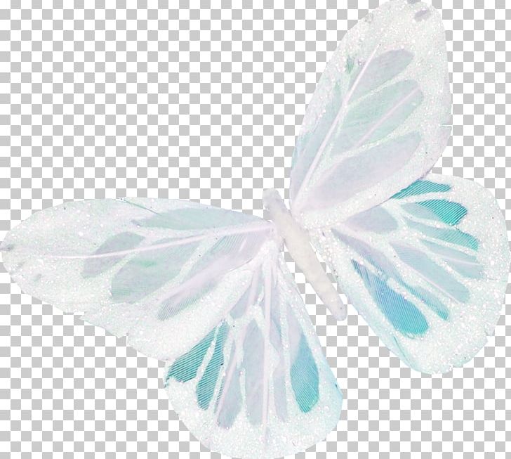 Butterfly PNG, Clipart, Adornment, Animal, Aqua, Blue Butterfly, Butt Free PNG Download