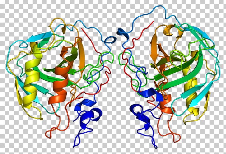 Carbonic Anhydrase 4 Carbonic Anhydrase II Carbonic Acid Carbonic Anhydrase 9 PNG, Clipart, 7 U, Area, Art, Band 3, Bicarbonate Free PNG Download