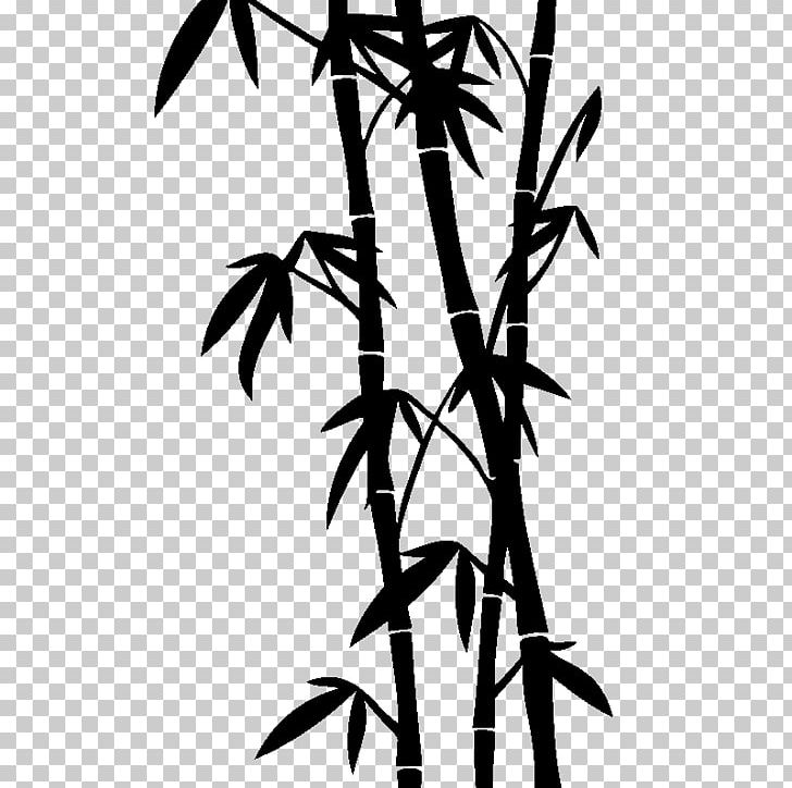 Tropical Woody Bamboos Drawing Stock Photography PNG, Clipart, Bamboos, Black And White, Branch, Dra, Flora Free PNG Download
