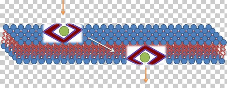 Cell-penetrating Peptide Cell Membrane Micelle PNG, Clipart, Angle, Biological Membrane, Cell, Cell Membrane, Cellpenetrating Peptide Free PNG Download