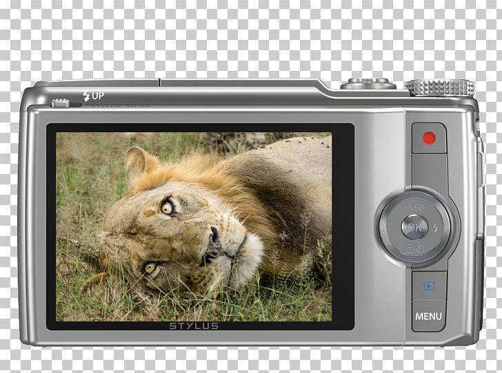 Point-and-shoot Camera Olympus 16 Mp Photography PNG, Clipart, 16 Mp, Big Cats, Camera, Cameras Optics, Cat Like Mammal Free PNG Download