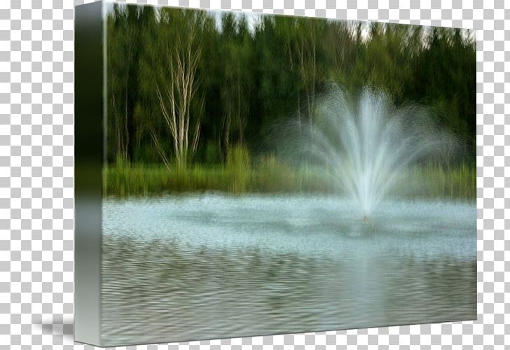 Pond Water Resources Wetland Fountain PNG, Clipart, Bayou, Fountain, Fountain Water, Grass, Lacustrine Plain Free PNG Download