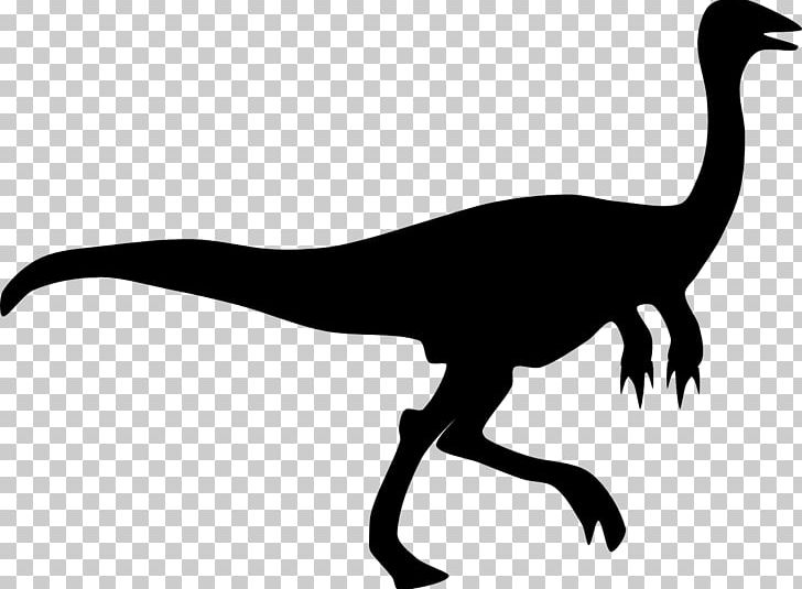 Velociraptor Tyrannosaurus Dinosaur Gallimimus PNG, Clipart, Beak, Bird, Black And White, Dinosaur, Download Free PNG Download