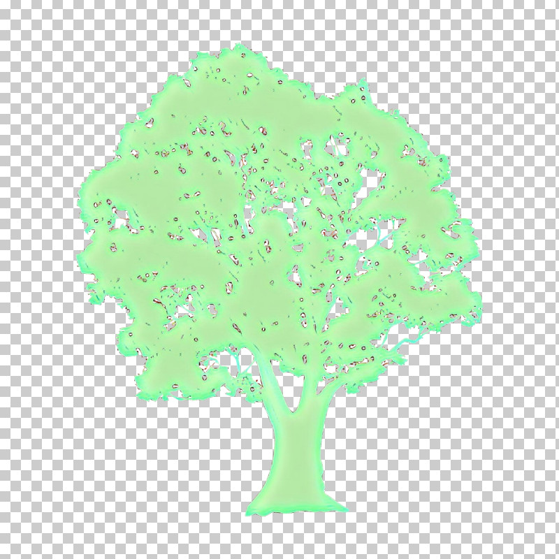 Green Tree Leaf Plant PNG, Clipart, Green, Leaf, Plant, Tree Free PNG Download
