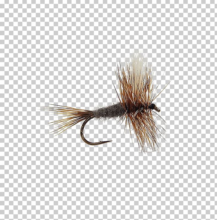 Artificial Fly Insect Wing Nymph PNG, Clipart, Artificial Fly, Fishing Bait, Fly, Fly Fishing, Hair Free PNG Download