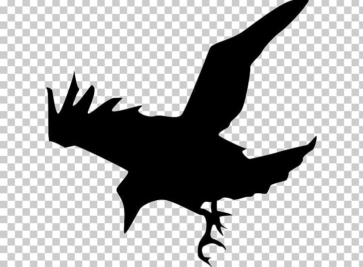 Common Raven Crow PNG, Clipart, Animals, Art, Artwork, Beak, Bird Free PNG Download