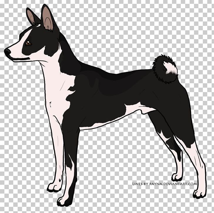 Dog Breed Canaan Dog Karelian Bear Dog East Siberian Laika Basenji PNG, Clipart, Ancient Dog Breeds, Carnivoran, Dog, Dog Breed, Dog Breed Group Free PNG Download