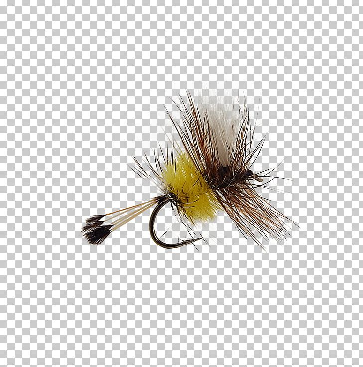 Artificial Fly Hair Fly Fishing Insect PNG, Clipart, Airport, Artificial Fly, Cdc, Celebrity, Com Free PNG Download
