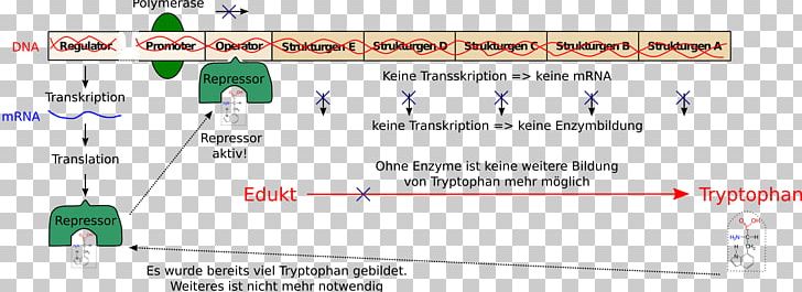 Document Line PNG, Clipart, Area, Art, Diagram, Document, Line Free PNG Download